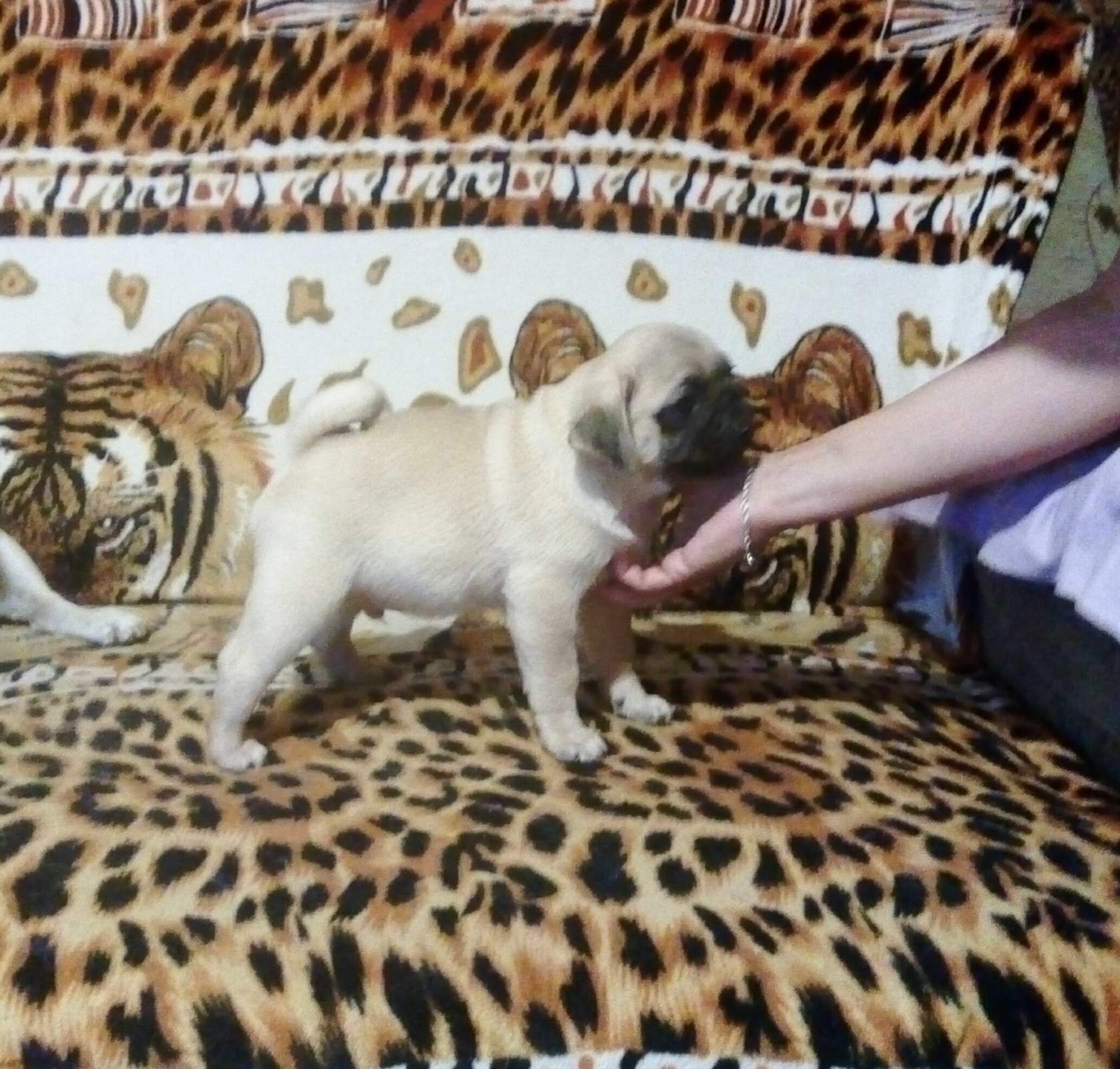 2,5 месяца 6.jpg